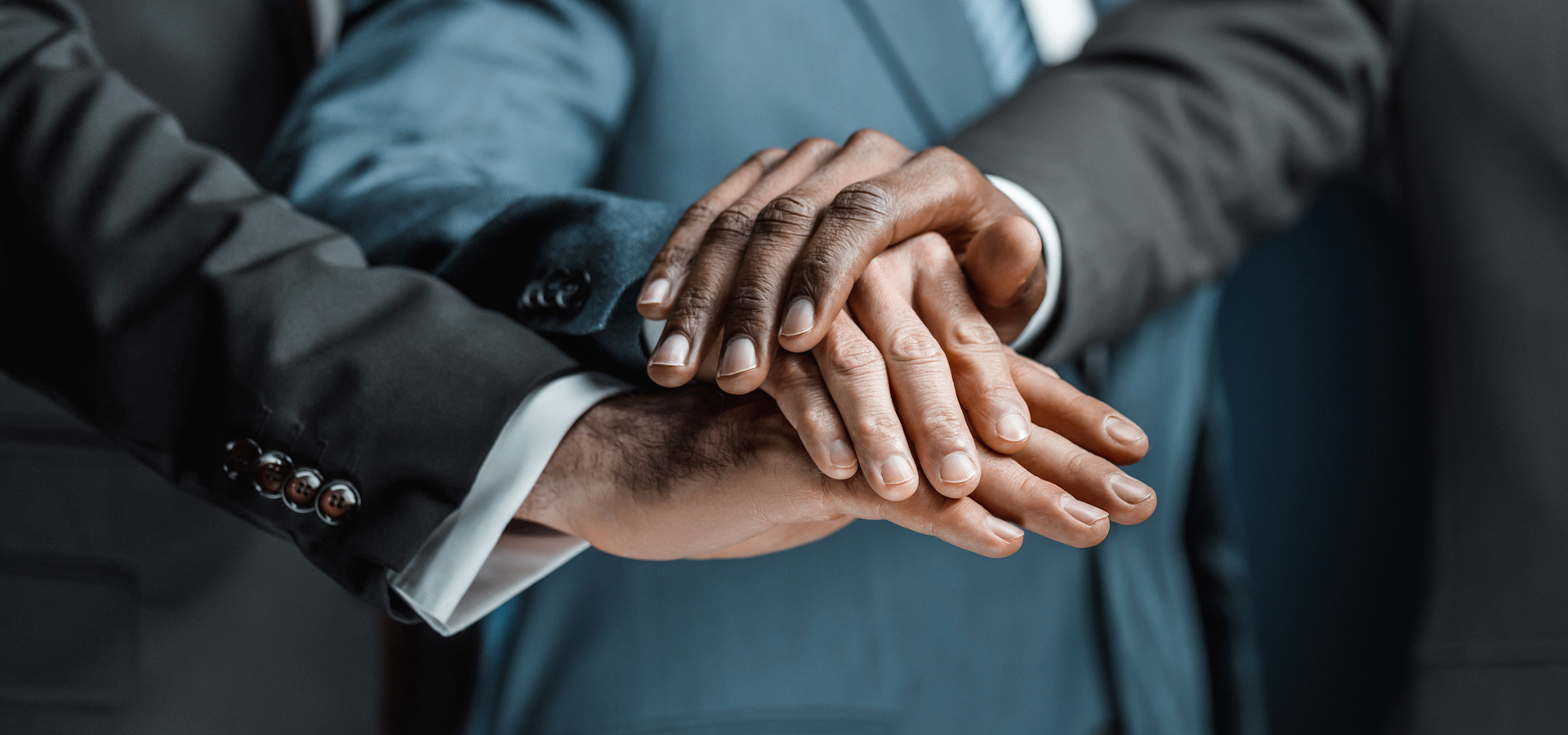 Nos partenaires officiels